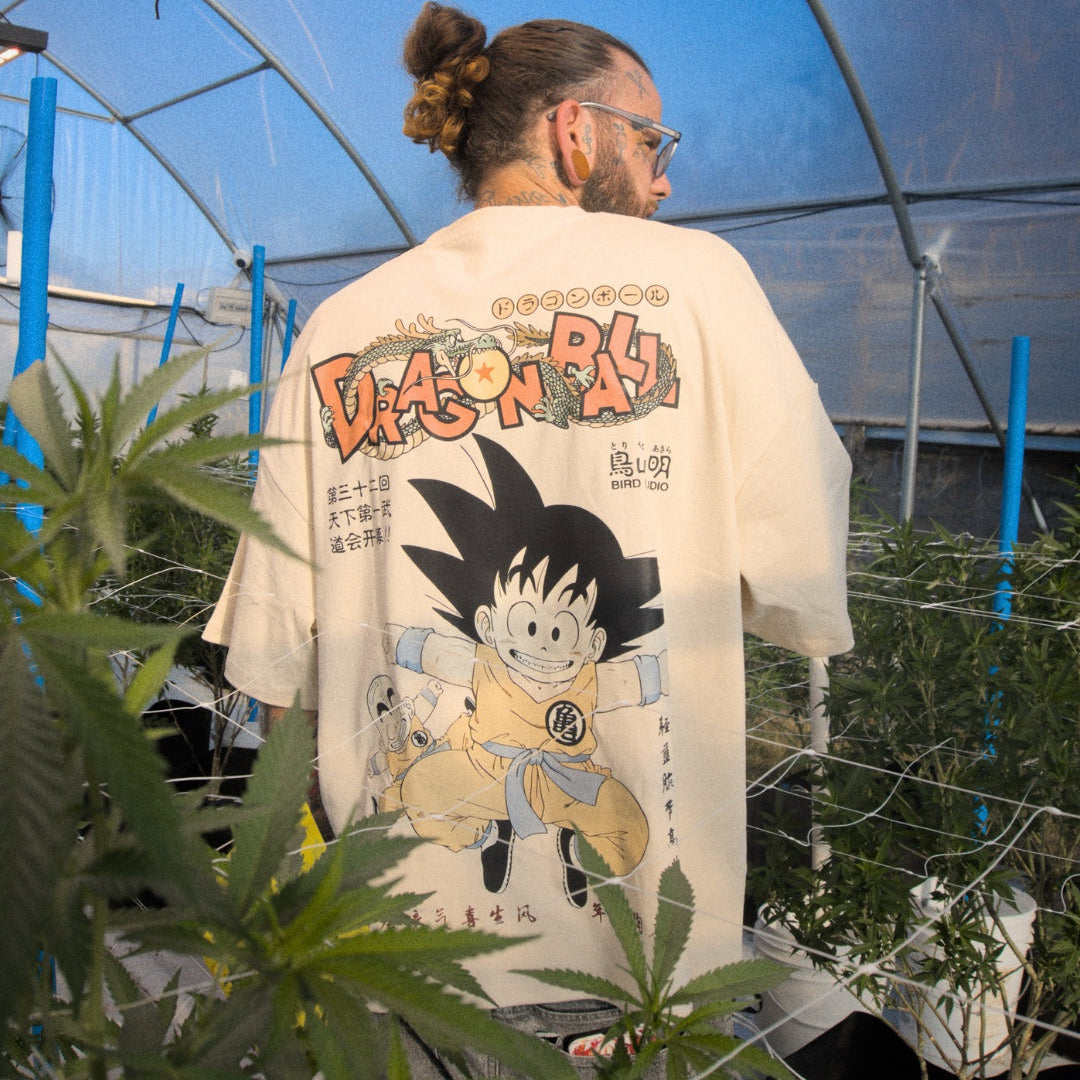GOKU DENSETSU / DRAGON BALL