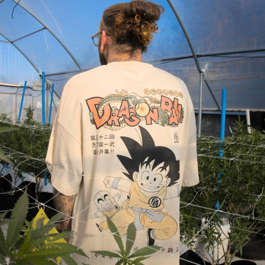 GOKU DENSETSU / DRAGON BALL